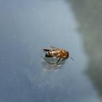 img_03_emb